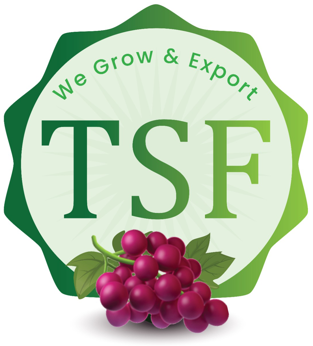 TSF Logo 